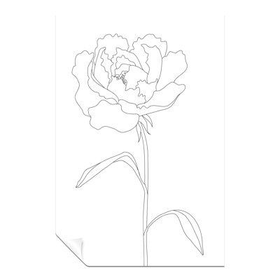 Peony Flower - No Frame Print