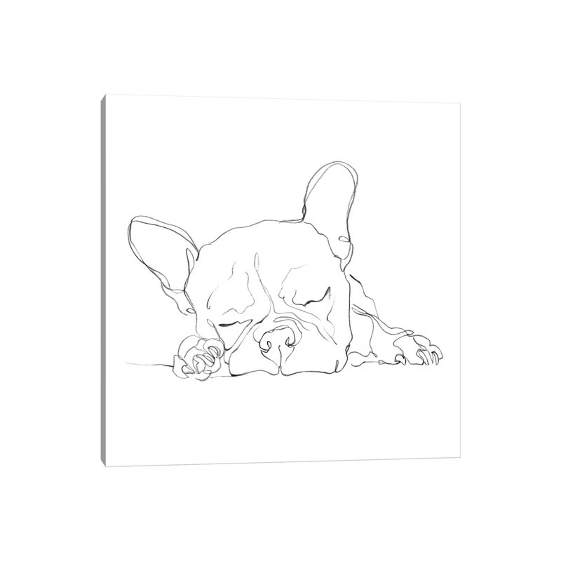 French Bulldog Contour I by Ethan Harper - Wrapped Canvas Print, 45.72 cm H x 45.72 cm W