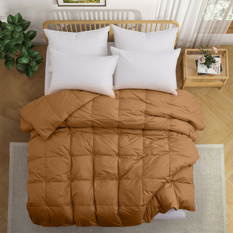 All Season Cotton Down Comforter/Duvet Insert, King Comforter, Brown
