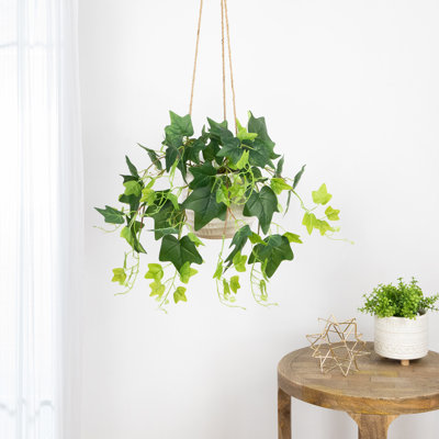 23.75" Decorative Garden-Style Green Ivy Spring Floral Hanging Bush