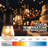 Rentas Indoor / Outdoor 8 - Bulb 24.5 in. Plug-in LED Standard String Light