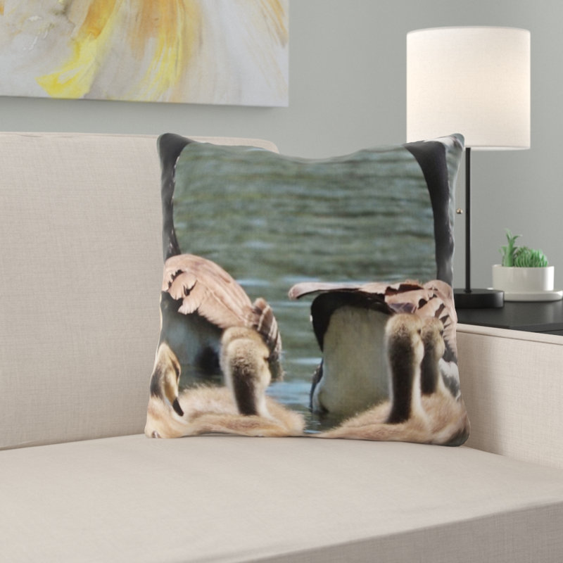 Coussin en oies