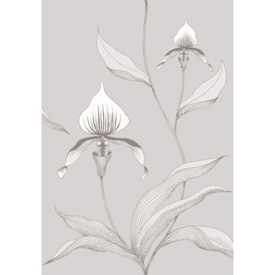 Orchid Floral Wallpaper Roll
