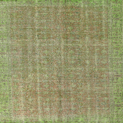 Oriental Indoor Rug