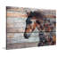 Fire Horse by Irena Orlov - Wrapped Canvas Painting-19184070