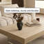 Table basse moderne avec pieds en acrylique Modern-1972377091