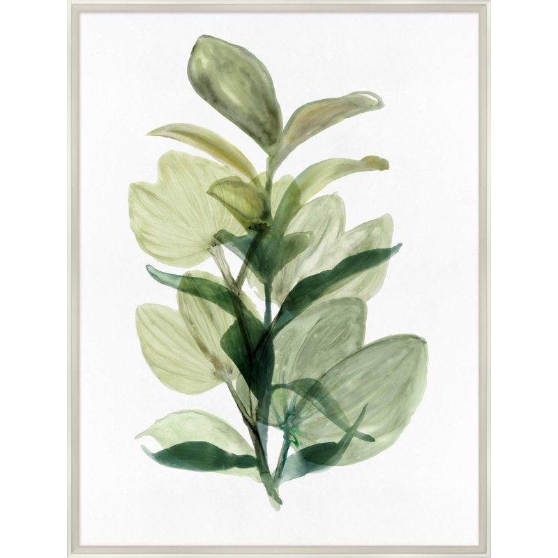Fresh Market 1 Print