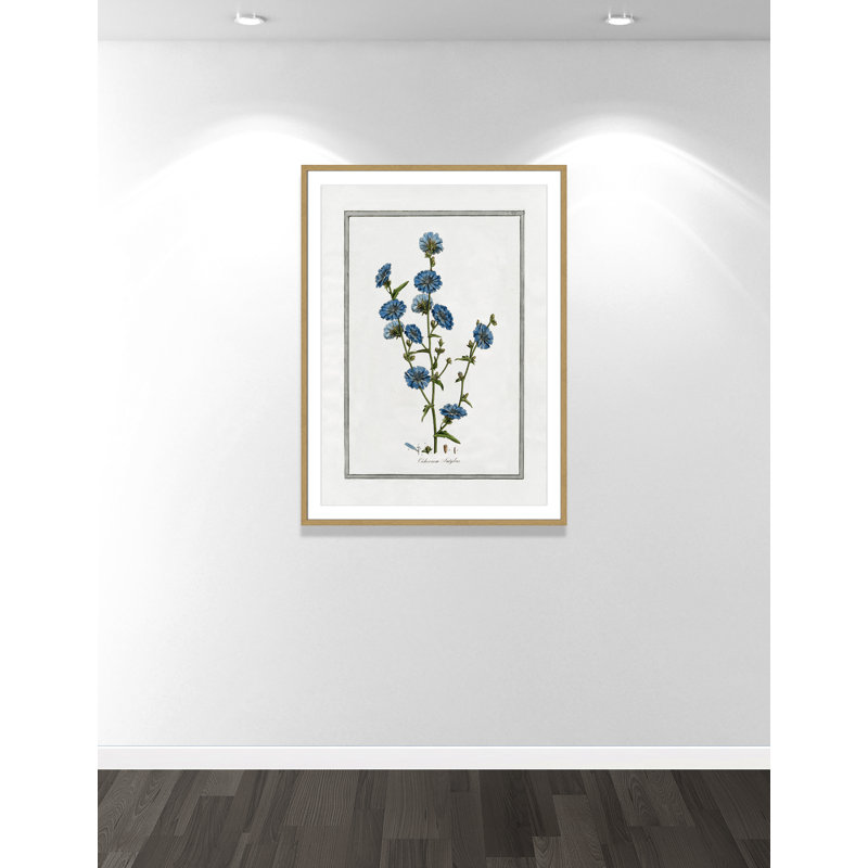 Colombe Soft Botanical I - Art encadré avec fond perdu, L 29,5 po x H 41,5 po, Cadre naturel