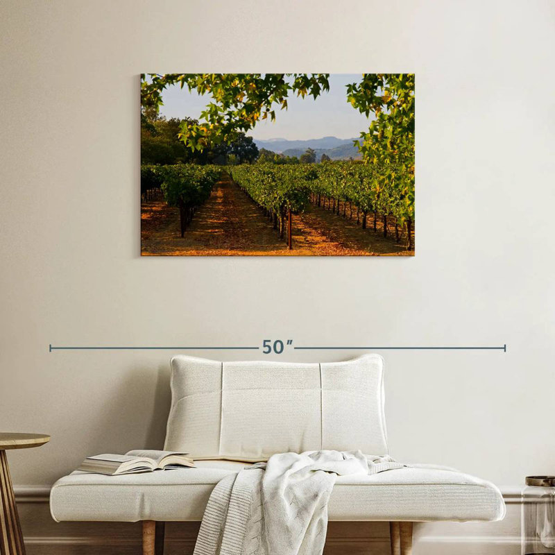 Alvord Napa Vineyard Sunset, H 24 po x l 36 po