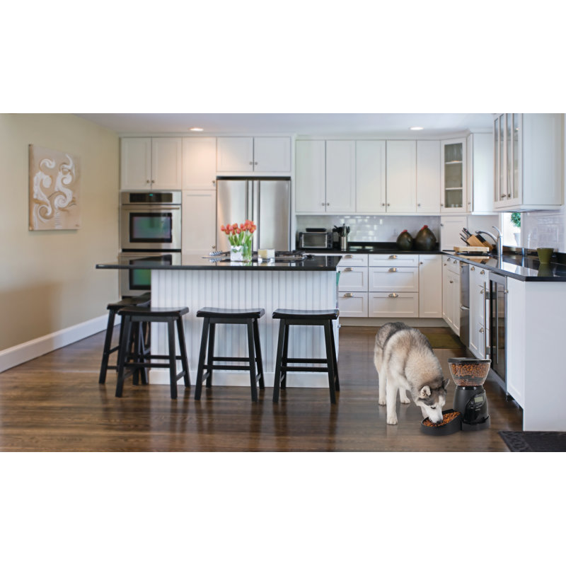 Large Black Programmable Automatic Pet Feeder