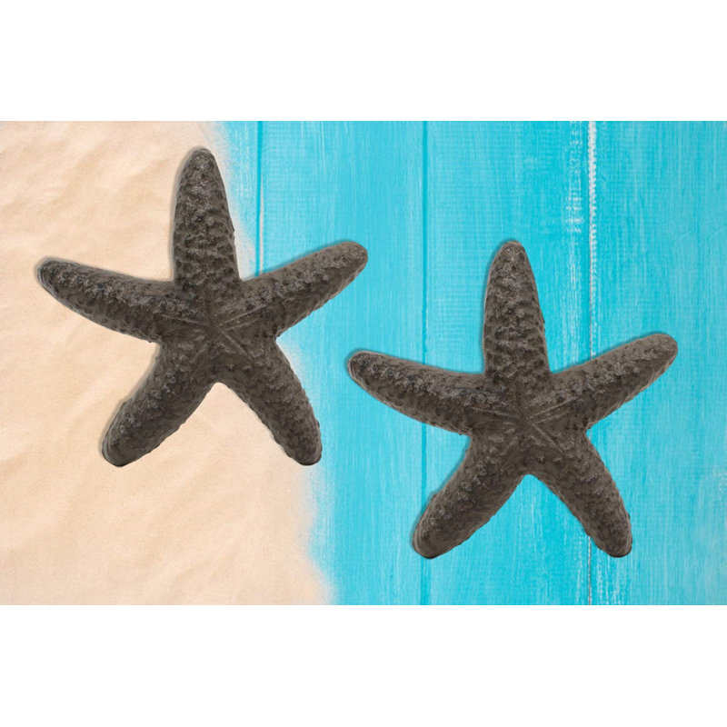 Étoile de mer ocean sea coquillage Nellie