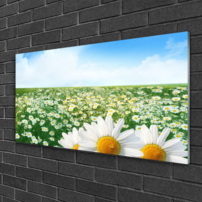 Meadow Daisies - No Frame Print on Glass