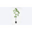 Arbre à monnaie artificiel Costa 84" en pot de pépinière noir, Pachira aquatica tropical