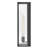 Hinkley Max Medium Wall Mount Lantern-117666485-117666482