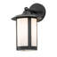 1 - Light Armed Sconce