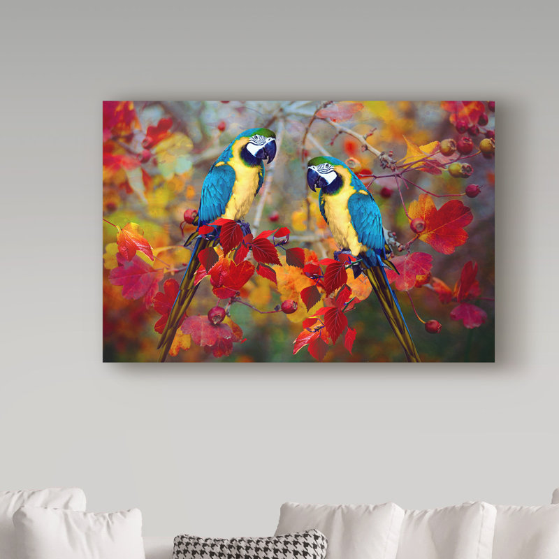 «Bird Collection 19», reproduction d'impression sur toile tendue, 16 po x 24 po