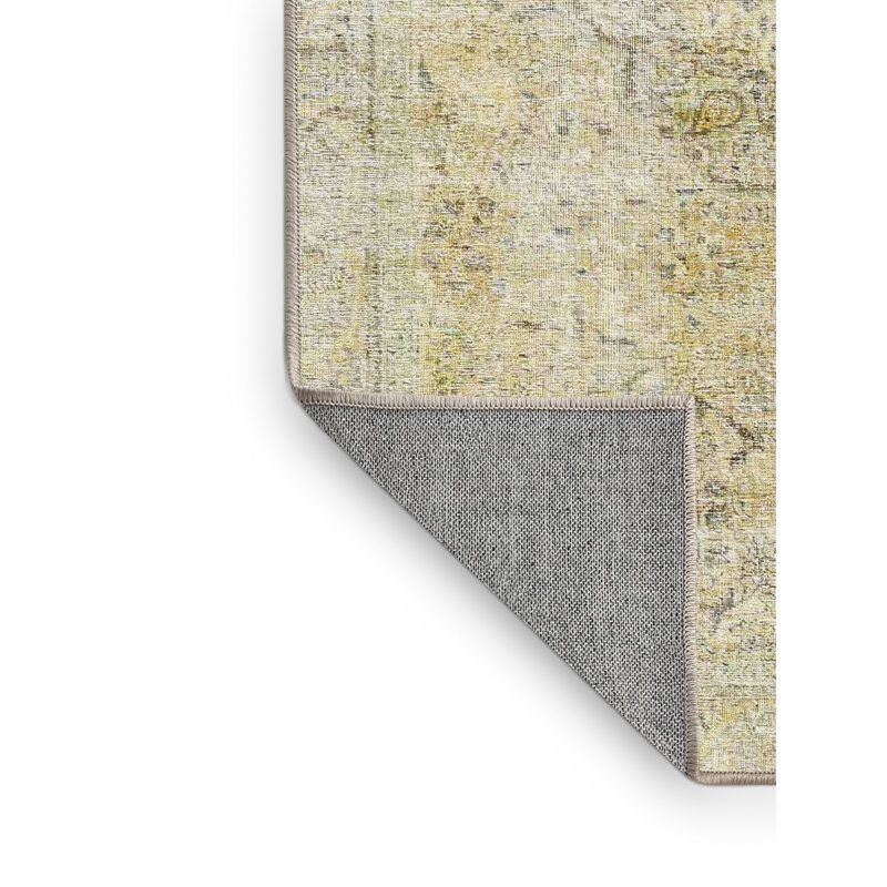 Aada Oriental Indoor Rug, Rectangle 2' x 3'