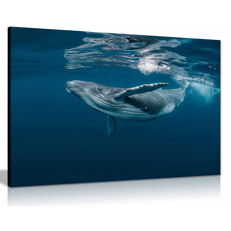 Humpback Whale Ocean 3 - Wrapped Canvas Print, 51cm H x 76cm W