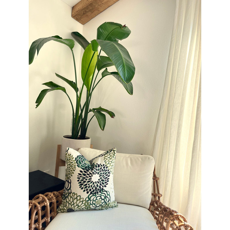  Housse de coussin en coton, 19,5 po x 19,5 po, Floral, Vert / noir