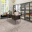 Area Rug in Beige