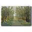Chemin forestier - Toile tendue avec châssis-1554309627
