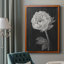 Fleurs noires et blanches II, toile encadrée de qualité supérieure - prête à être accrochée-1539464130-1485671355