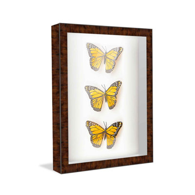 Cattalaya Solid Wood Shadow Box Picture Frame