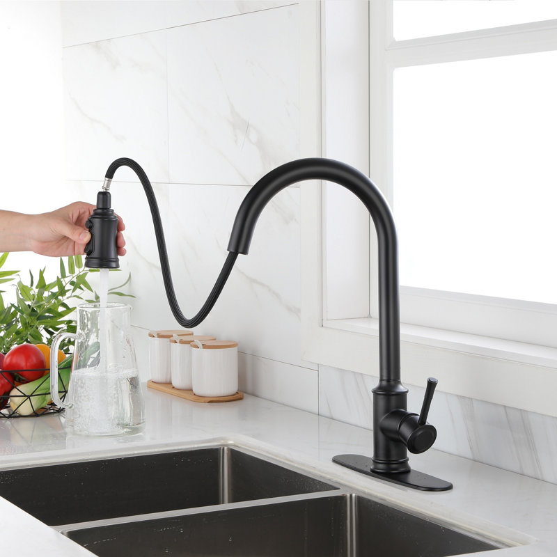 Robinet de cuisine rétractable à poignée simple avec accessoires, Noir mat