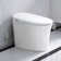 Bulit-in Tank Smart Toilet With Air Dryer, Multiple Wash Function And Night Light(Remote Included)
