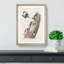 Red-Headed Woodpeckers by John James Audubon - Picture Frame Painting Print-55598559-55598556