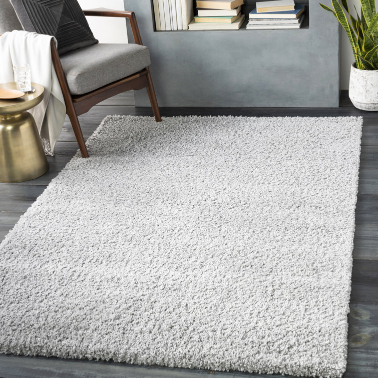 Bjarne Oriental Indoor Rug