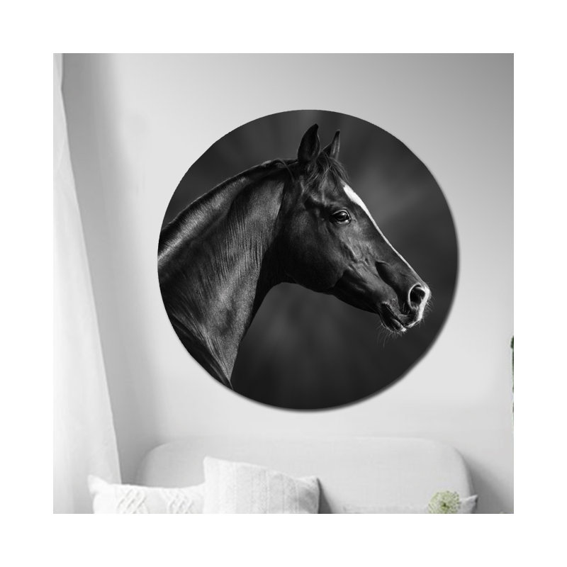 «Black Horse Profile», photographie encadrée, H 36 po x l 36 po