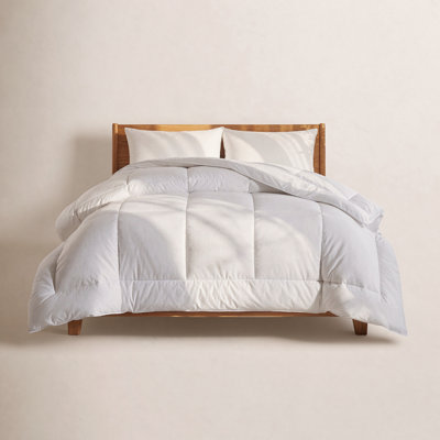  All Season Polyester Down Alternative Comforter/Duvet Insert