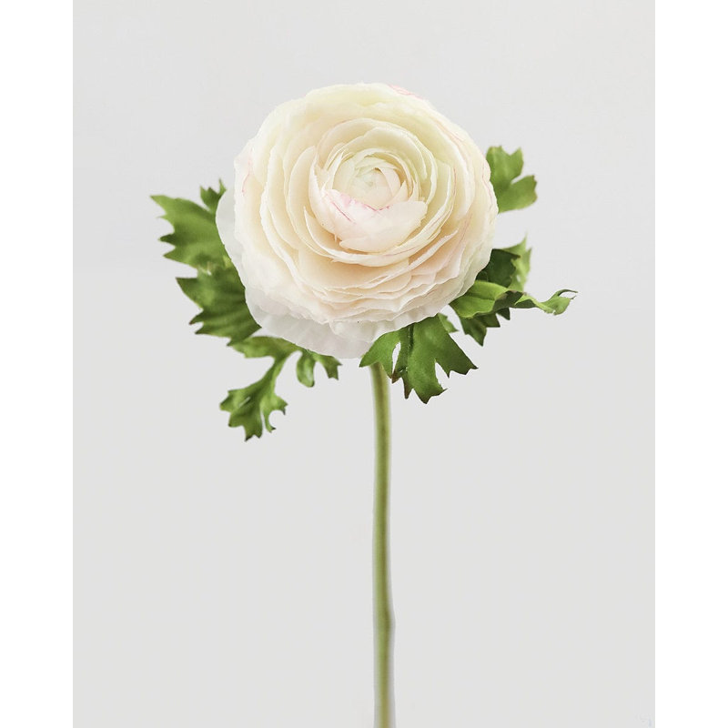 Cream Silk Ranunculus 21”
