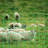 Static Electric Fence-99314677