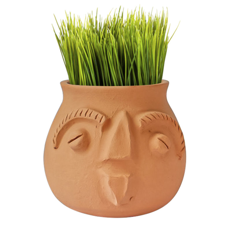 Pot à fleurs en terre cuite 5 "H Expression