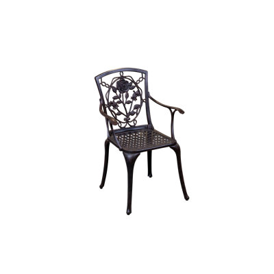Vale Patio Dining Armchair with Cushion