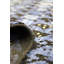 Pile Scandinavian One-of-a-Kind 8'2" X 10' Area Rug