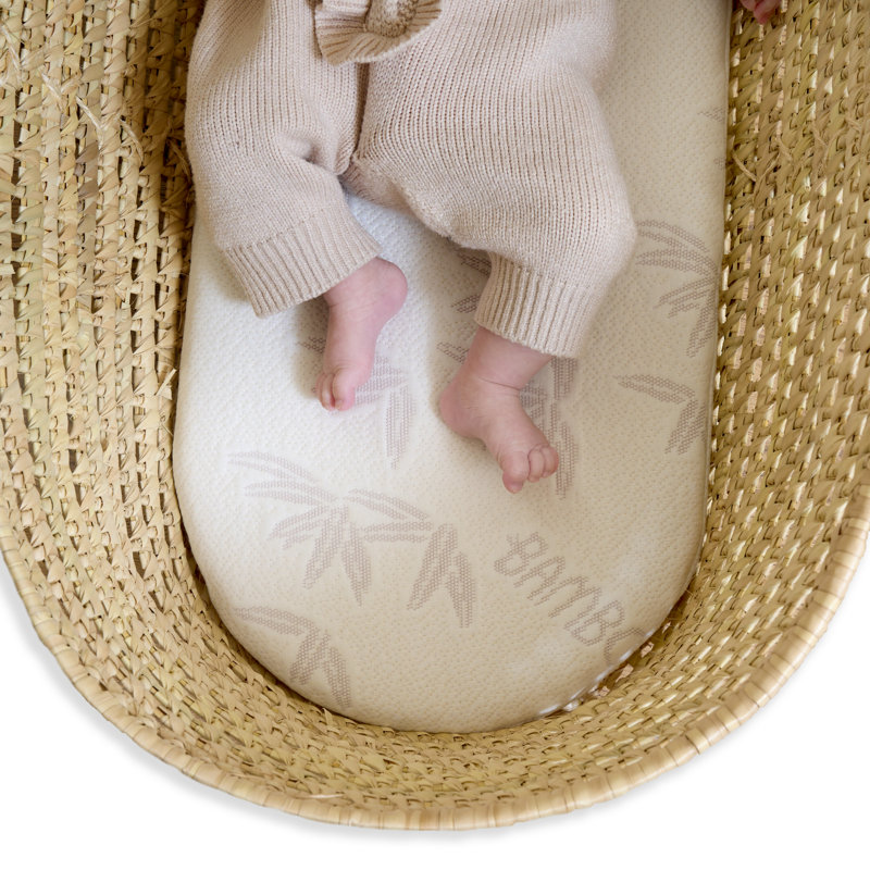 Clair De Lune Coconut Fibre Mattress, Moses Basket (28 x 74cm)