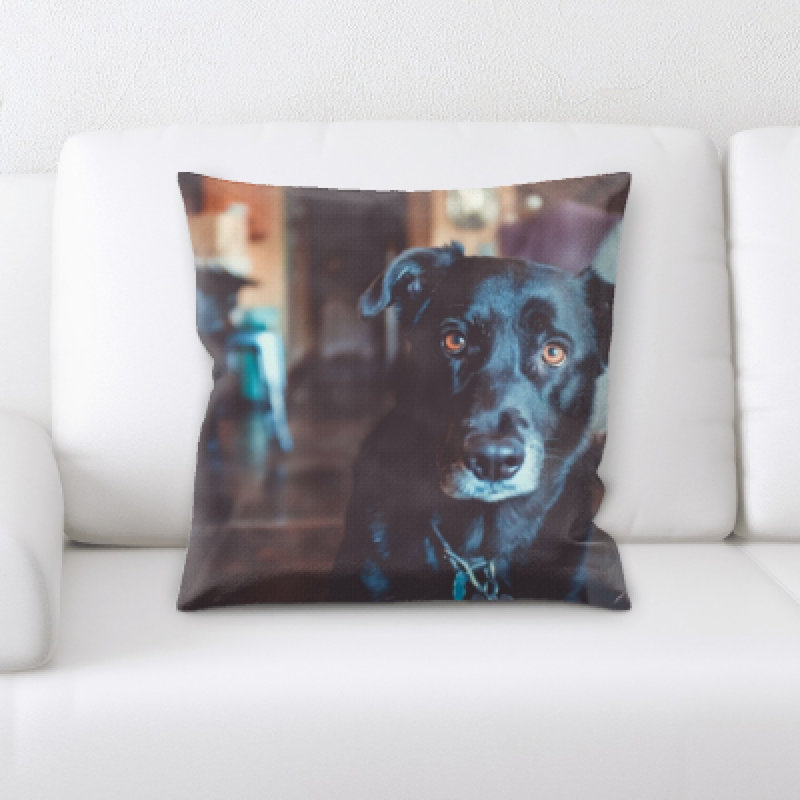 Coussin décoratif animal Eaman
