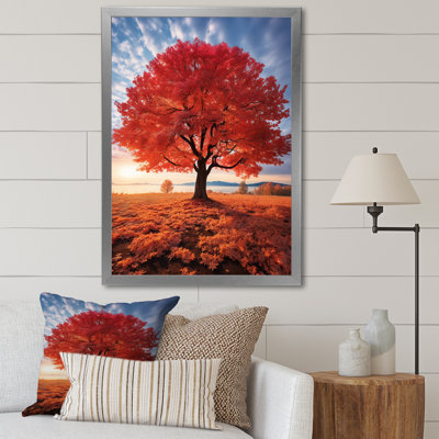 Orange Maple Tree Symphony II " Orange Maple Tree Symphony II " Color Photography Print