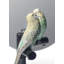 The Parrot Party Vanity Mirror