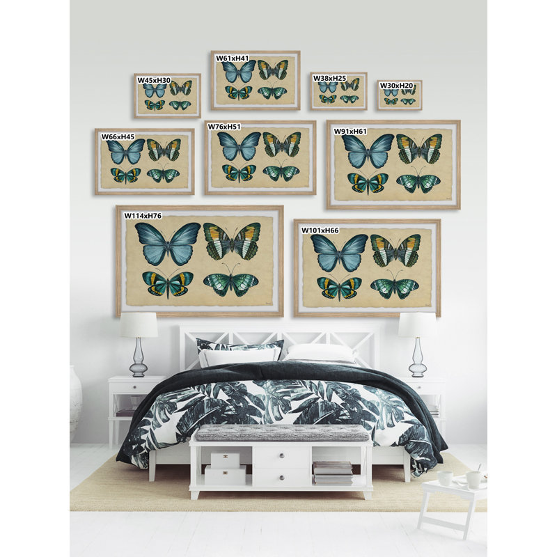 Wing Pattern - Single Picture Frame Print, 20cm H x 30cm W x 3.81cm D