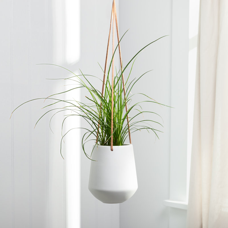 Pot à fleurs suspendu en céramique Nonce, Blanc, H 6,5 po x l 5,75 po x P 5,75 po