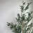 6'' Faux Olive Tree Tree in Pot