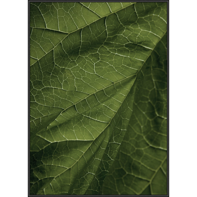 Single Picture Frame Print