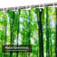 Rideau de douche Sunlight Spring-789948787