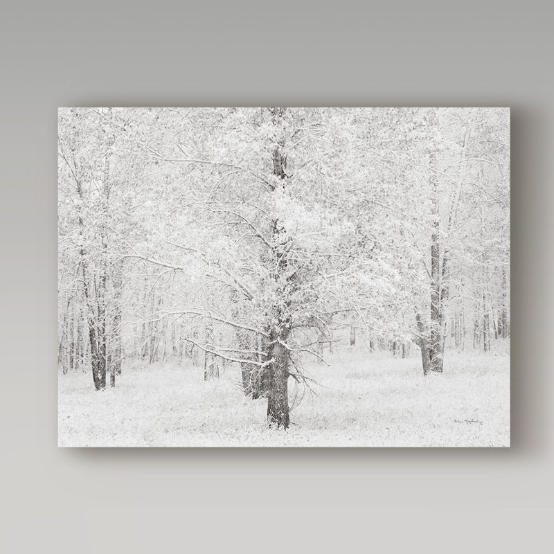 « snow recouverte cottonwood trees », reproduction de photo sur toile tendue, H 14 po x l 19 po