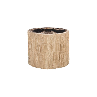 Chaka Petrified Stool, Rough, Cream