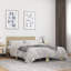 Diodorus Bed-1842726928-1842726956